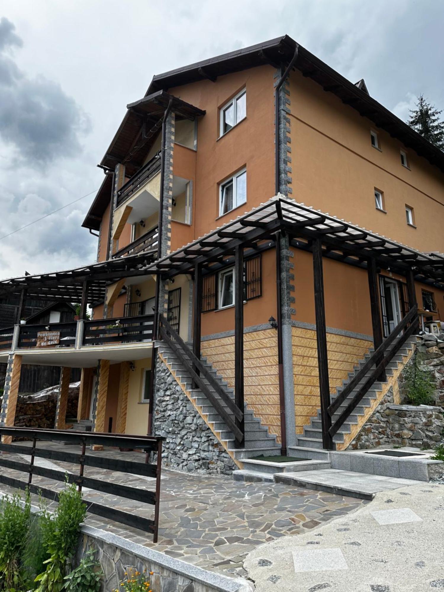 Pensiunea 3Flori De Colt Hotel Statjunea Borsa Exterior photo